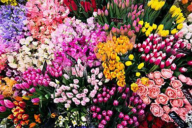 《热血硬派国夫君外传 热血少女 零》中文版确定于9月22日上市！